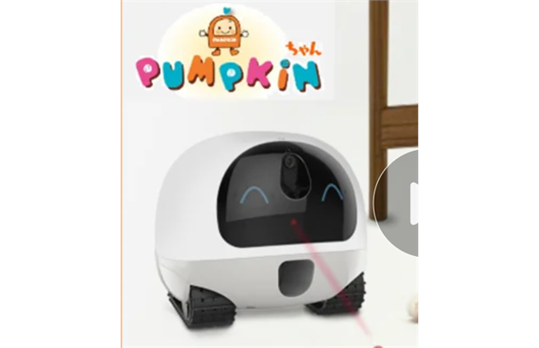 PUMPKINちゃん